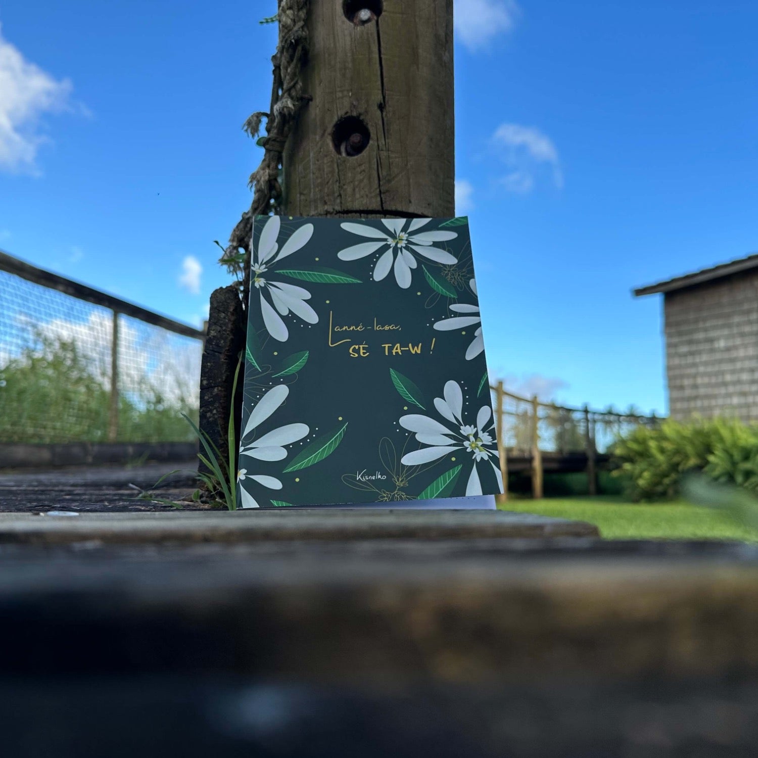 Carnet Lanné - lasa sé ta - w ! - Kisnelko