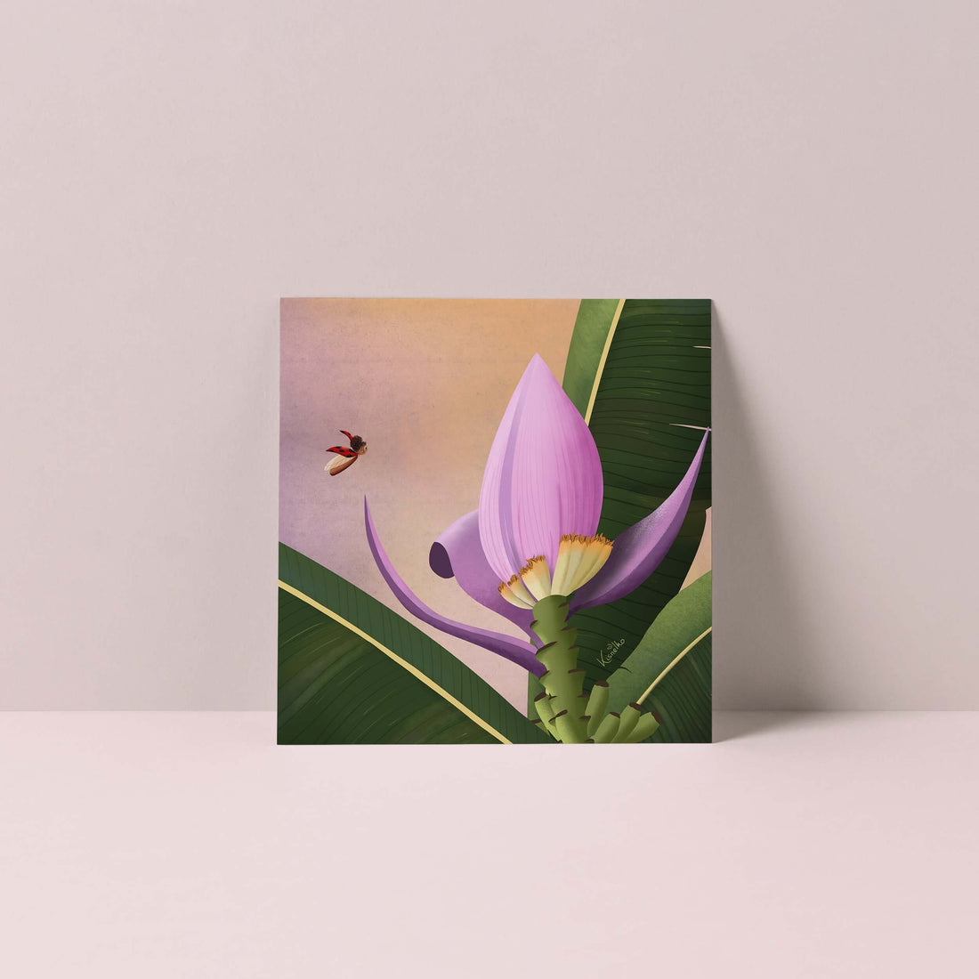 Carte Bananier ornemental - Kisnelko