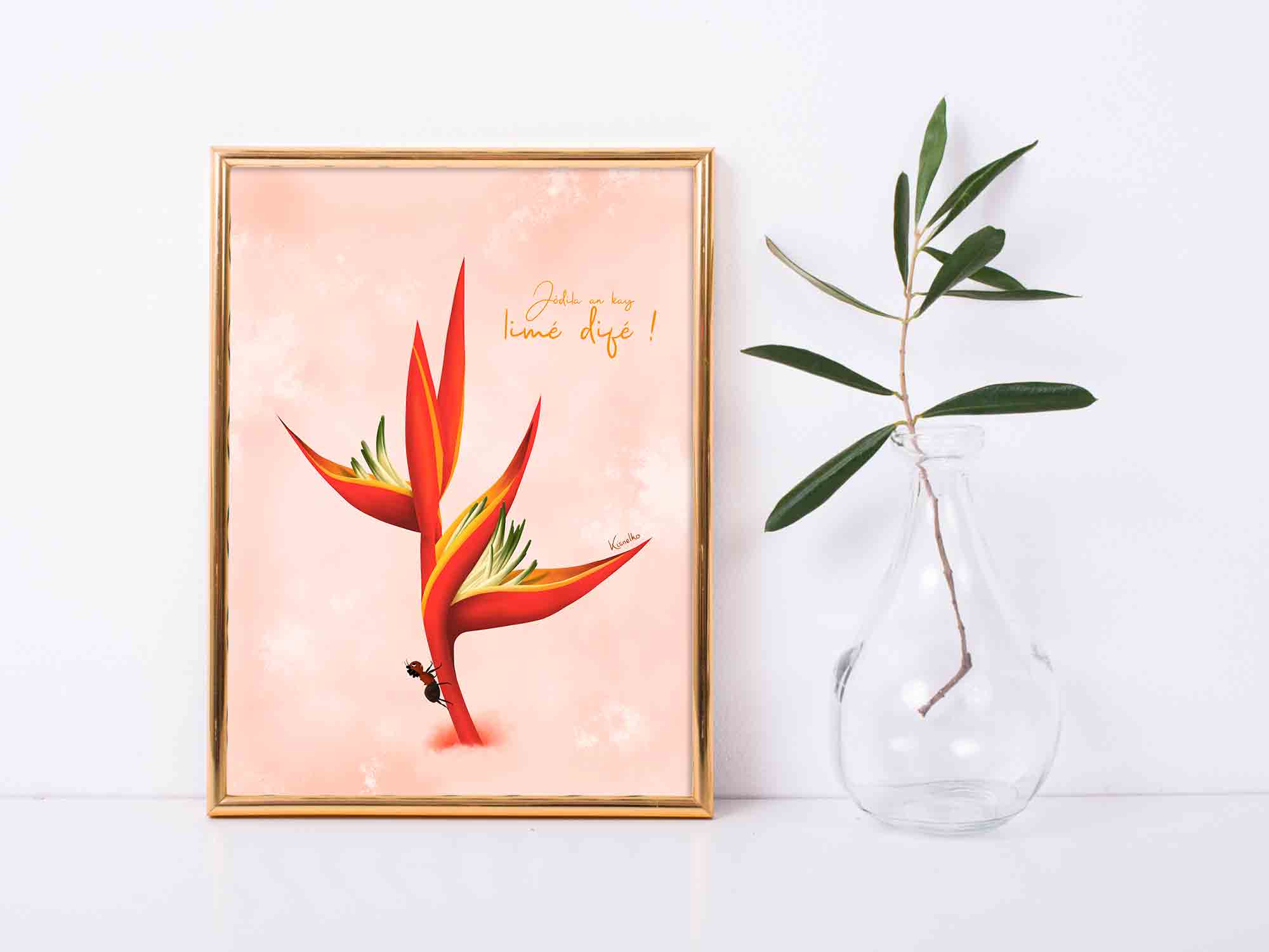 Heliconia / Limé difé - Kisnelko