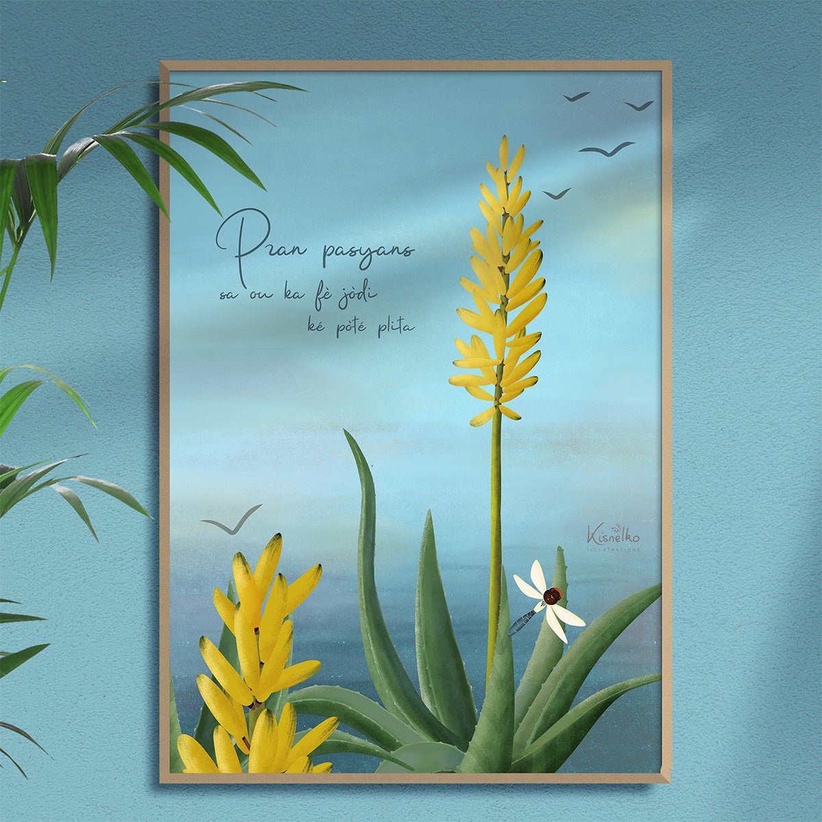 Aloe / Pran pasyans - Kisnelko