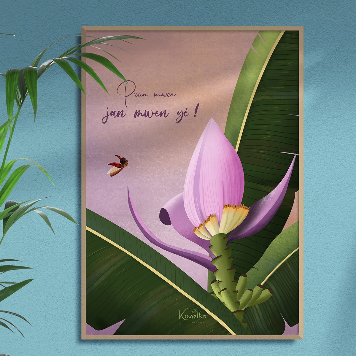 Bananier ornemental / Jan mwen yé - Kisnelko