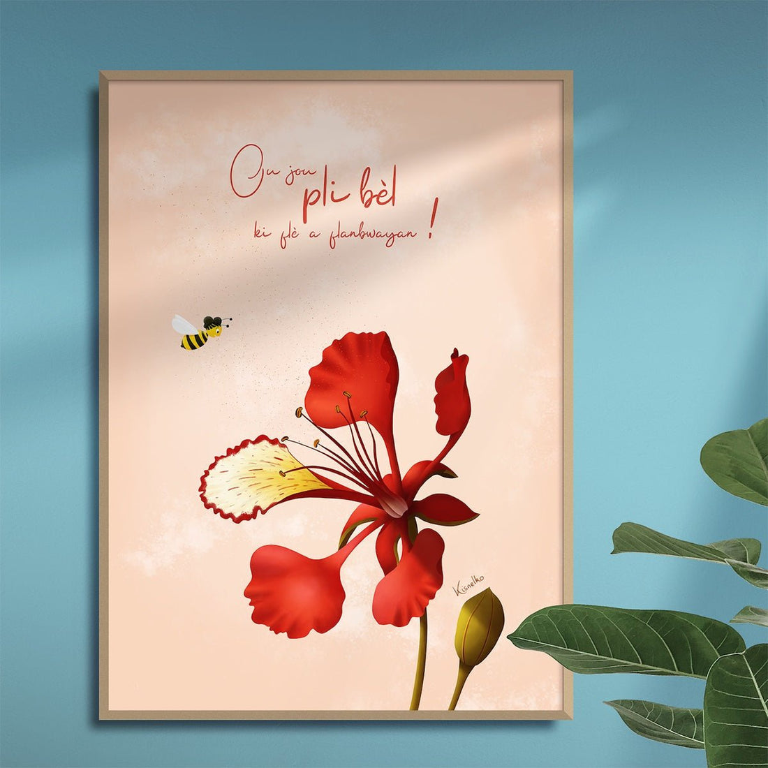 Flamboyant / Ou bèl - Kisnelko