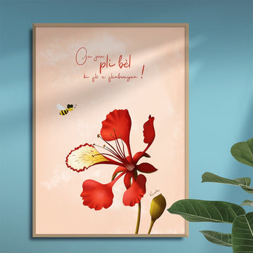 Flamboyant / Ou bèl - Kisnelko