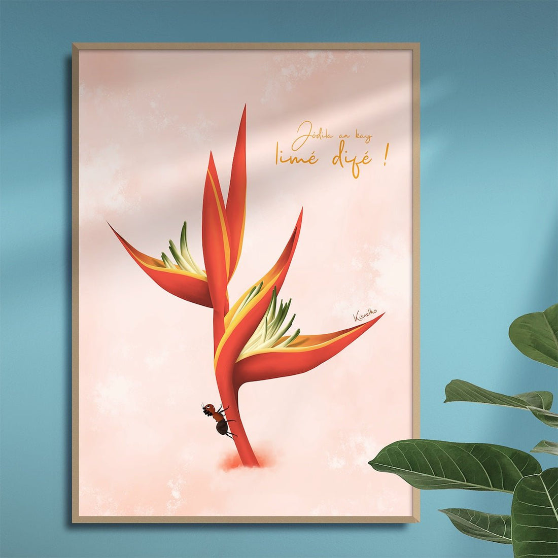 Heliconia / Limé difé - Kisnelko
