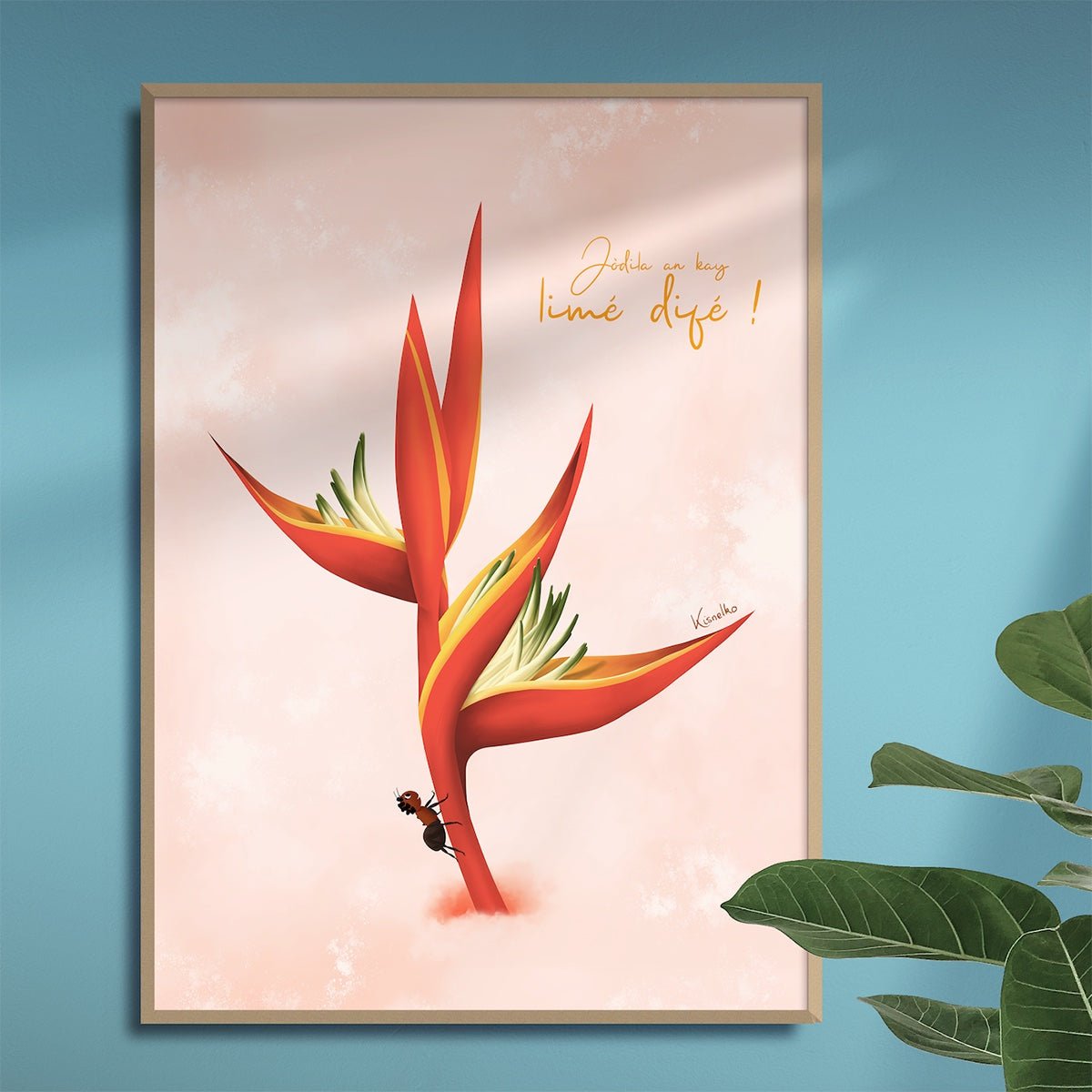 Heliconia / Limé difé - Kisnelko
