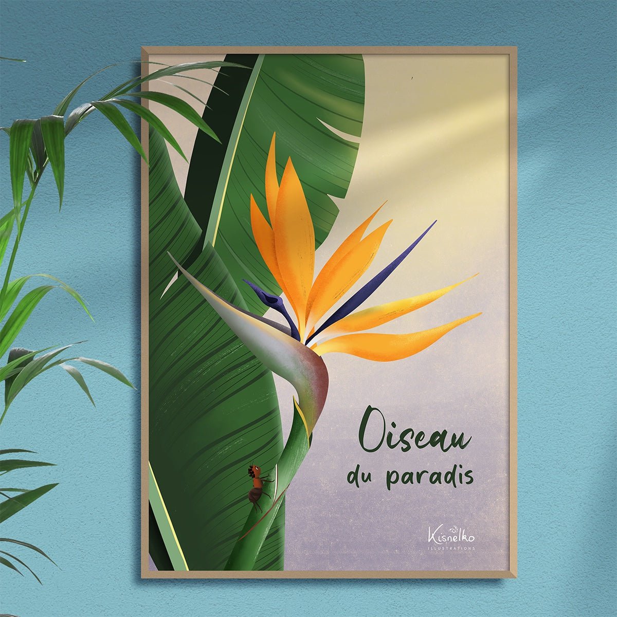 Oiseau du paradis / An wout - Kisnelko