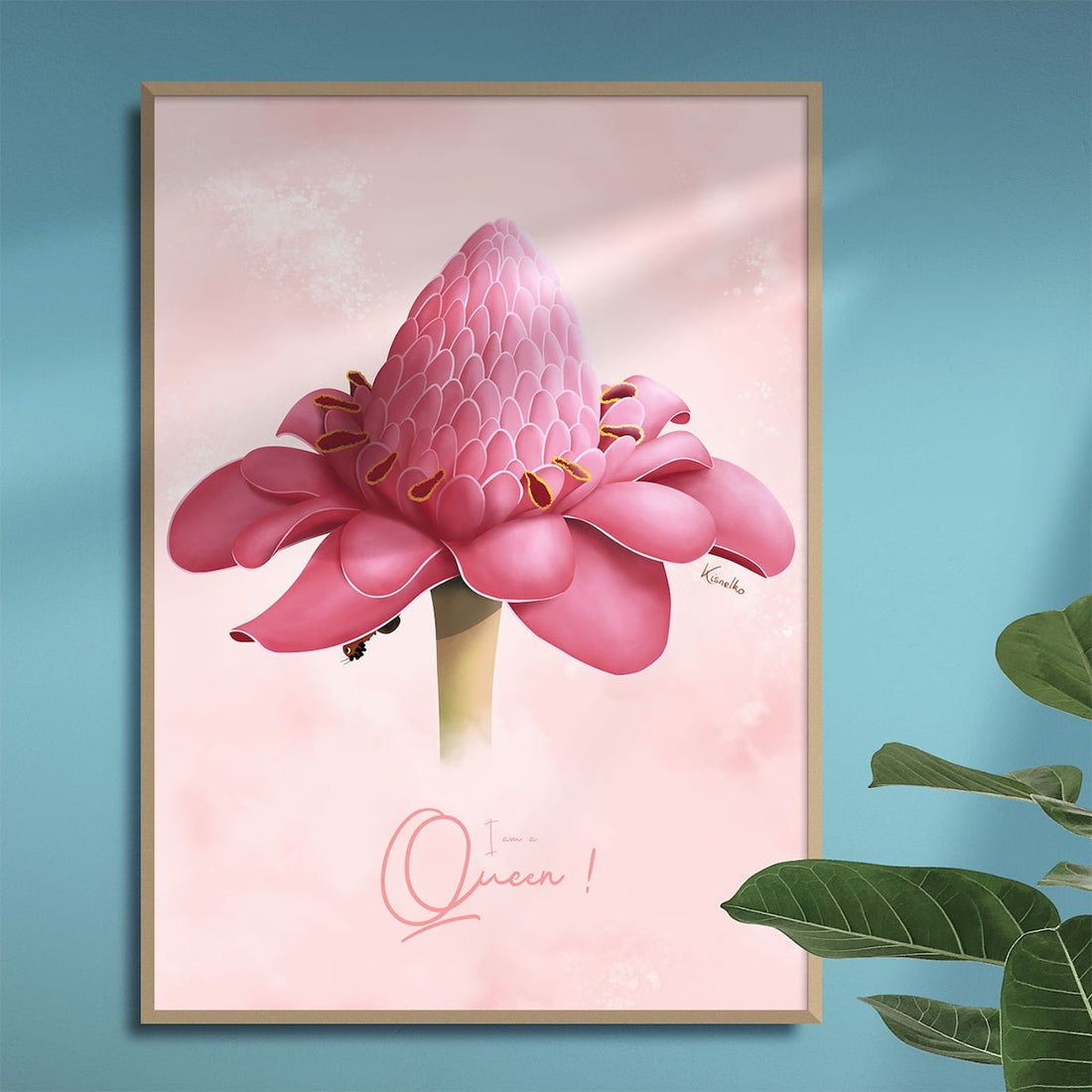 Rose de porcelaine / Queen - Kisnelko