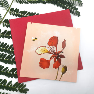 Fleur de Flamboyant - Kisnelko