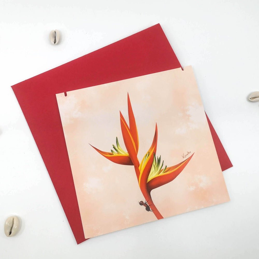 Heliconia bec de perroquet - Kisnelko