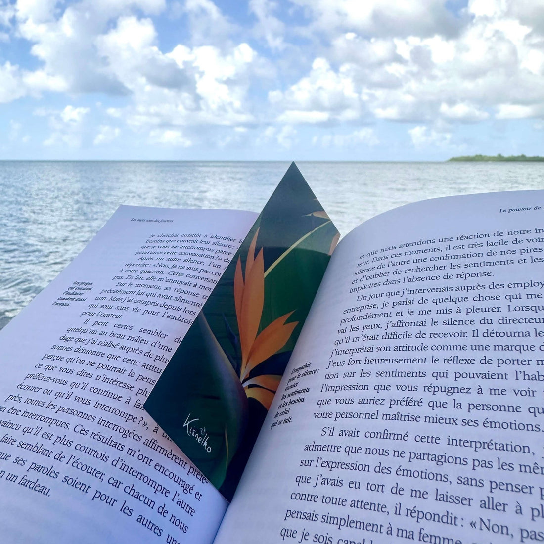 Lot de 4 marque - pages Jou wouvè - Kisnelko