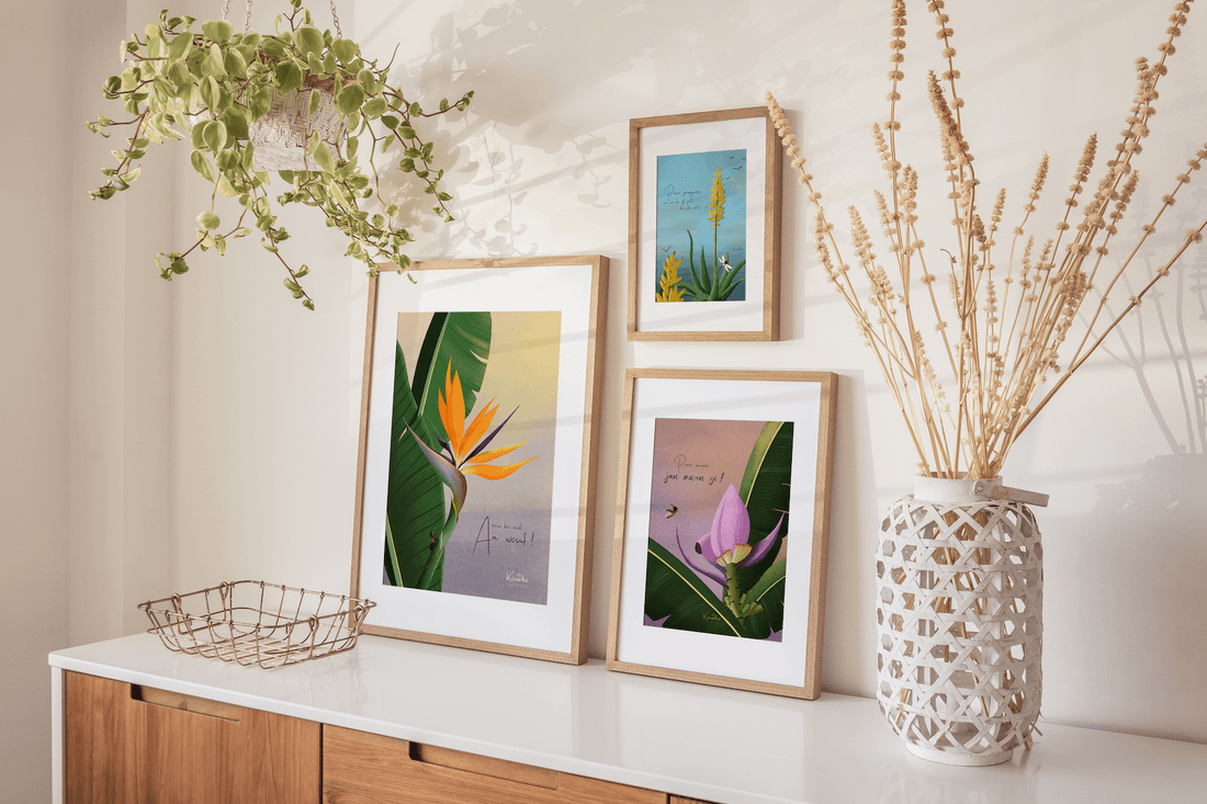 Aloe / Pran pasyans - Kisnelko